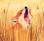  closed_eyes commentary fangs fox highres mad_ryouko nature no_humans open_mouth orange_sky original outdoors sitting sky wheat wheat_field whiskers yawning 