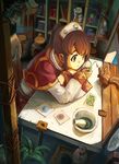  animal book brown_eyes brown_hair capelet chair darkers fern highres long_hair mortar ponytail solo squirrel table window 