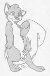  absurd_res against_wall balls bedroom_eyes buckteeth digitigrade erection fluffy_tail front_view greyscale half-closed_eyes hi_res looking_at_viewer male mammal mizzyam monochrome pencil_(artwork) penis pinup pose rodent sckriffer_squirrel seductive semi-anthro sheath signature solo squirrel standing tapering_penis teeth traditional_media_(artwork) 