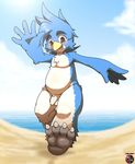  anthro avian balls barefoot beach beak bird cloudscape digital_media_(artwork) flaccid front_view gentle_adelie hi_res kivwolf looking_at_viewer low-angle_shot male nude open_mouth penguin penis perspective seaside signature sky slightly_chubby solo uncut walking waving young 