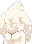  anthro athletic butt canine clothed clothing colored fundoshi fur hi_res japanese_clothing kisukemk777 male mammal muscular muscular_male presenting presenting_hindquarters simple_background solo underwear white_background white_fur 
