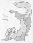  absurd_res against_wall english_text female ferret greyscale hi_res looking_at_viewer mammal mizzyam molly_ferret monochrome mustelid on_shoulders open_mouth pencil_(artwork) semi-anthro sharp_teeth side_view solo teeth text traditional_media_(artwork) upside_down 