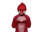  2015 anthro avian avian_(starbound) beak bird brown_eyes collar cum cum_in_mouth cum_inside feathers hi_res looking_at_viewer maladash male nude open_mouth red_feathers simple_background smile solo starbound submissive video_games white_background white_feathers 