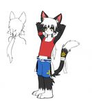  anthro barefoot cat clothing feline front_view hands_behind_head hi_res kay_(whiteleo) male mammal midriff navel pinup ponytail pose rear_view shirt shorts solo tank_top whiteleo 