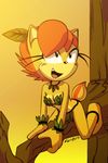  anthro archie_comics breasts chipmunk chipmunk_stripe clothed clothing female feral fur grass_skirt hair hi_res jewelry leaf mammal mobian_(species) necklace orange_fur orange_hair rodent sally_acorn skimpy smile solo sonic_(series) sunset tree tree_branch 