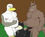  anthro avian balls bear bird black_bear fellatio group group_sex gunnar&#039;s_dad joejim33 kangaroo male male/male mammal marsupial oral penis seagull sex slightly_chubby threesome wilson_(brogulls) 