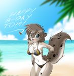  anthro beach big_breasts bikini blue_eyes breasts canine clothed clothing feline female fur grey_fur grey_hair hair hybrid kathrin_(twokinds) keidran looking_at_viewer mammal multicolored_fur navel nekonny open_mouth outside seaside sky smile solo spots swimsuit two_tone_fur twokinds white_fur 