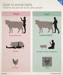  2014 ambiguous_gender avian balls bestiality bird bovine cage castration cattle chicken english_text fellatio female feral fisting harness hi_res human human_on_feral interspecies knife male male/female mammal oral penis pig porcine sex source_request text unknown_artist 