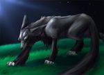  black_fur canine digital_media_(artwork) feral fur grass looking_at_viewer male mammal night outside purple_fur purple_markings sky solo wing-of-chaos wolf 