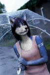  anthro blue_fur blue_hair canine clothed clothing edit female fox fur hair hi_res krystal mammal nintendo photo_manipulation photomorph raining solo star_fox umbrella video_games wayne25611001 white_fur 