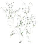  anthro arthropod breasts elinda female insect mandibles mantis monstro_village morbi nipples nude presenting pussy smile solo 