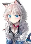  all_fours animal_ears blue_eyes blush braid breasts cat_ears cat_tail cleavage collar dog_collar fish geppewi hair_ribbon izayoi_sakuya kemonomimi_mode looking_at_viewer maid_headdress medium_breasts ribbon short_hair silver_hair solo tail touhou tress_ribbon twin_braids upper_body 