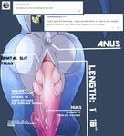  animal_genitalia anthro anus bent_over close-up dinosaur english_text erection faceless_male genital_slit i-dommy indominus_rex jurassic_park jurassic_world male model_sheet penis penis_ridge raised_tail rear_view scalie slit solo text theropod tumblr white_crest 