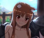  animal_ears blush breasts brown_hair collarbone fang fang_out highres holo kawakami_rokkaku long_hair looking_at_viewer nude onsen protected_link red_eyes small_breasts smile solo spice_and_wolf tail wolf_ears wolf_girl wolf_tail 