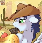  &lt;3 &lt;3_eyes animal_genitalia balls braeburn_(mlp) earth_pony equine erection fellatio feral friendship_is_magic horse horsecock male male/male mammal my_little_pony oral pegasus penis pony ratofdrawn sex soarin_(mlp) wings wonderbolts_(mlp) 