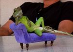  draw_me_like_one_of_your_fench_girls iguana inviting lizard reptile scalie unknown_artist 