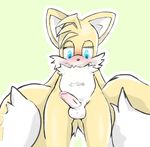  anthro balls blue_eyes blush canine fox fur humanoid_penis jetfrozen male mammal miles_prower nude penis simple_background solo sonic_(series) 