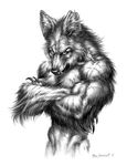  2014 angry biceps big_muscles bust_portrait canine claws crossed_arms detailed ear_tuft fangs fur long_claws long_fur looking_at_viewer male mammal monochrome muscular nude pecs pencil_(artwork) pose ron_spencer scar sharp_claws simple_background smile solo traditional_media_(artwork) tuft were werewolf werewolf_the_apocalypse white_background 