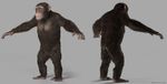  anthro ape baboon fur male mammal monkey nude prehensile_feet primate solo unknown_artist 