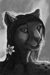  2014 anthro black_and_white black_fur cheetah cryme_the_cheetah ear_piercing feline flower fluffy_panther fur hair hybrid jaguar long_hair looking_at_viewer male mammal monochrome panther piercing plant realistic simple_background spots whiskers 