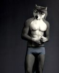  abs alpha_and_omega anthro anthrofied bulge canine clothing edit male mammal muscular nipples oystercatcher7 pecs photo_manipulation photomorph solo stinky_(alpha_and_omega) underwear wolf 