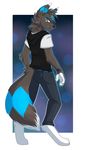  2015 anthro canine citrinelle clothed clothing ear_piercing eeveelution elbow_tufts fox hoodie jeans looking_at_viewer looking_back mammal nintendo pants piercing pok&eacute;mon shiny_pok&eacute;mon standing tattoo umbreon video_games 