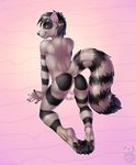  all_fours anthro anus balls butt digital_media_(artwork) hair hi_res jakethecoon_(character) looking_back male mammal nude presenting presenting_hindquarters raccoon smile solo vallhund 