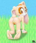  anthro bikini clothing cream_the_rabbit female lagomorph mammal rabbit sonic_(series) swimsuit the_roop 