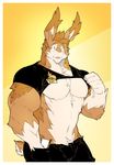  flip invalid_color kokuhane lagomorph looking_at_viewer male mammal muscular pecs rabbit smile solo strong 