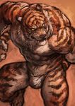  2015 abs anthro barefoot biceps big_muscles black_fur bulge clothed clothing emboss0320 fangs feline fundoshi fur half-dressed japanese_clothing male mammal muscular muscular_male neck_tuft orange_fur pecs solo stripes tiger topless tuft underwear whiskers white_fur yellow_eyes 