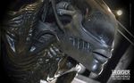  3d_(artwork) alien alien_(franchise) cgi digital_media_(artwork) lips not_furry solo xenomorph 