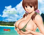  action_pizazz bikini_top breasts brown_hair flower hair_ornament huge_breasts saigadou solo twintails wallpaper 