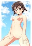  blush breasts brown_eyes brown_hair ki_(kk-sk-ray) miyafuji_yoshika nipples nude open_mouth outdoors pussy short_hair small_breasts solo strike_witches uncensored world_witches_series 