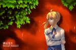  absurdres ahoge artoria_pendragon_(all) blonde_hair english fate/stay_night fate_(series) fork_(357022) green_eyes highres holding_arm leaf light_smile saber solo tree type-moon 