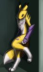  against_wall ambiguous_gender black_nose black_sclera blue_eyes canine chilling clothing coyrin digimon digitigrade fox fur gloves leaning male mammal neck_tuft pose renamon shadow simple_background solo tuft white_fur wiskar yellow_fur yin_yang 