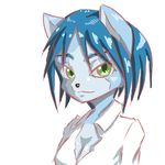 13 anthro black_nose blue_hair breasts canine clothed clothing female fox green_eyes hair krystal low_res mammal nintendo short_hair simple_background smile solo star_fox video_games 