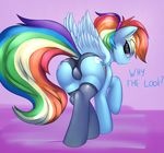  2016 absurd_res blush butt clothing cutie_mark dialogue dock elzzombie english_text equine feathered_wings feathers female feral friendship_is_magic hair hi_res legwear looking_at_viewer mammal multicolored_hair my_little_pony panties pegasus rainbow_dash_(mlp) rainbow_hair solo text underwear wings 