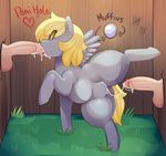  2016 balls cum cum_in_mouth cum_in_pussy cum_inside derpy_hooves_(mlp) equine erection fellatio female feral friendship_is_magic glory_hole human male mammal my_little_pony oral pegasus penis pussy sex somescrub wings 