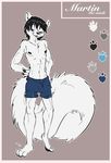  black_nipples boxers_(clothing) clothing cute fluffy_tail fuf fur hi_res male mammal martin mink mustelid nipples shorts slim solo underwear white_fur 