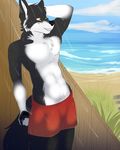  anthro beach canine clothed clothing fangs half-closed_eyes invalid_tag kittentits male mammal outside seaside shower smile solo standing swimsuit teeth wolf 