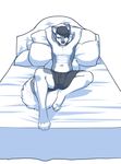  anthro bed bulge canine clothed clothing dog half-closed_eyes half-dressed hand_on_head husky invalid_tag kittydee looking_at_viewer lying male mammal navel on_back pillow simple_background smile solo topless white_background 
