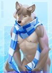  2015 anhes anthro black_nose canine convenient_censorship covering covering_self fur grey_fur looking_at_viewer male mammal mostly_nude muscular muscular_male navel nipples november scarf smile solo wolf yellow_eyes 