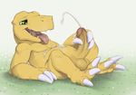  agumon balls cum cum_on_self cumshot digimon dreiker grass green_eyes half-closed_eyes humanoid_penis looking_at_penis looking_pleasured lying male masturbation navel nude on_back open_mouth orgasm outside paw_hands penis retracted_foreskin scalie slightly_chubby solo spread_toes tongue tongue_out uncut 