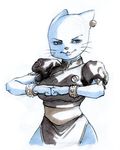  anthro blue_fur cat china_dress chun-li clothed clothing cosplay feline female fur mammal mature_female mother nicole_watterson parent solo street_fighter the_amazing_world_of_gumball vaanwolf video_games 