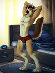  4_toes ango76 bed bedroom black_nose brown_fur brown_hair canine clock clothed clothing coyote digitigrade fur hair half-dressed inside male mammal open_mouth pillow solo standing stretching toes topless underwear white_fur yawn 