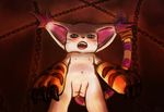  blue_eyes blush chain claws clothing digimon ear_tuft fangs feline female fur gatomon gloves kaimimi long_tail looking_at_viewer mammal midget navel nipples nude open_mouth pussy solo standing tuft white_fur 