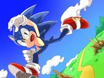  anthro black_nose clothing cloud footwear gloves grass green_eyes hedgehog male mammal open_mouth outside solo sonic_(series) sonic_the_hedgehog エイムエフ 