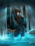 abs anthro balls biceps blue_eyes facial_hair fully_sheathed fur hair hand_behind_head lion21 looking_at_viewer male mammal muscular naughty_face nude pecs red_panda sheath solo standing water waterfall 