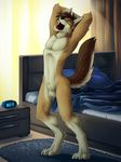  4_toes ango76 animal_genitalia anthro balls bed bedroom black_nose brown_fur brown_hair canine coyote digitigrade eyes_closed fully_sheathed fur hair inside male mammal nude open_mouth pillow sheath solo standing stretching toes white_fur yawn 