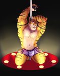  anthro biceps big_muscles black_fur blue_eyes bulge clothed clothing disney fur half-dressed hands_behind_head kneeling male mammal muscular nipples orange_fur pecs pink_nose shorts solo stripes stripper stripper_tiger_(zootopia) tagme tongue tongue_out topless white_fur zootopia 
